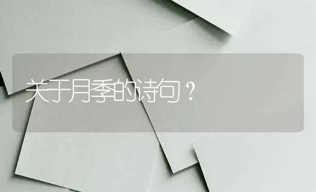 关于月季的诗句？ | 绿植常识