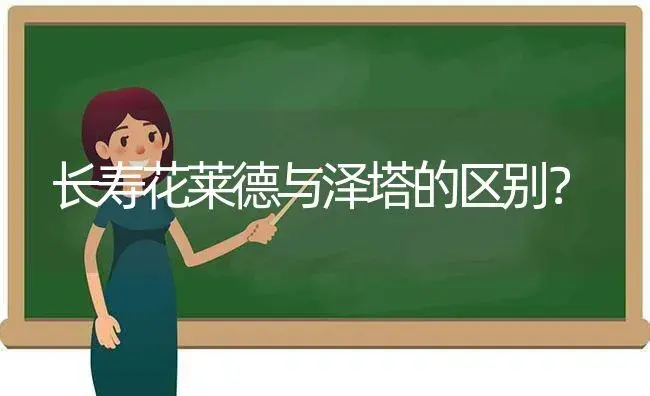 长寿花莱德与泽塔的区别？ | 多肉养殖