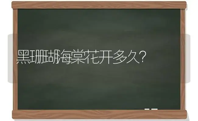 黑珊瑚海棠花开多久？ | 绿植常识