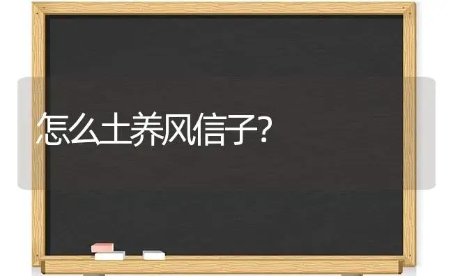 怎么土养风信子？ | 绿植常识