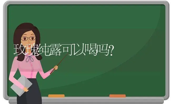 玫瑰纯露可以喝吗？ | 绿植常识