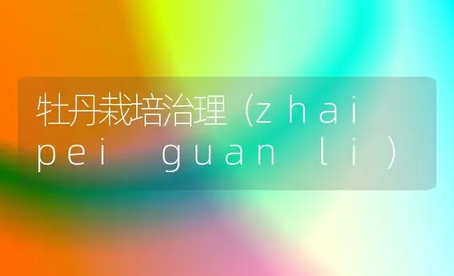 牡丹栽培治理（zhai pei guan li） | 家庭养花