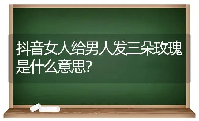 抖音女人给男人发三朵玫瑰是什么意思？ | 绿植常识