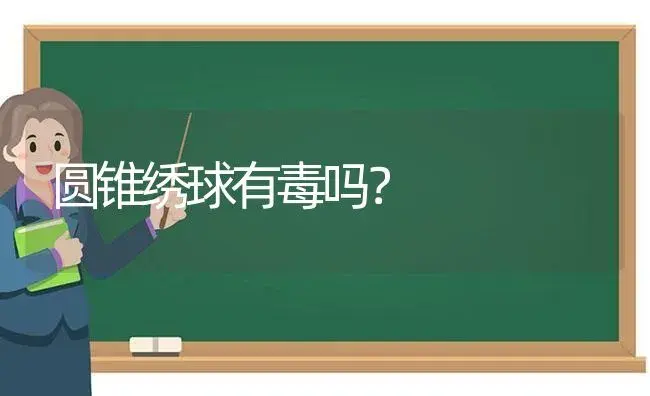 圆锥绣球有毒吗？ | 绿植常识