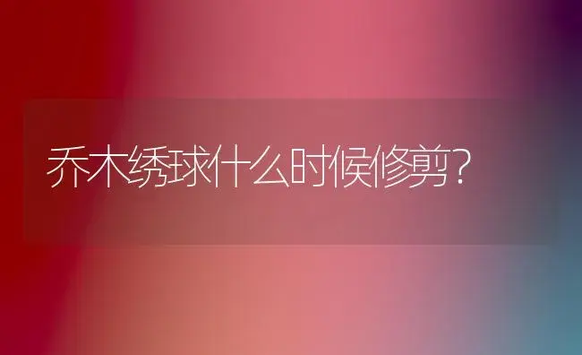 乔木绣球什么时候修剪？ | 绿植常识