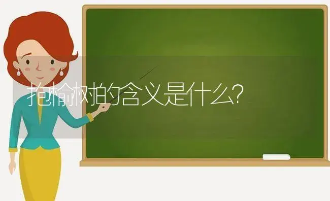 抱榆树的含义是什么？ | 多肉养殖