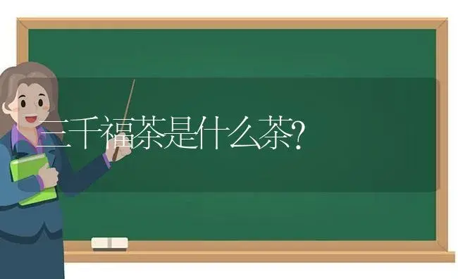 什么的水仙填合适的词？ | 绿植常识