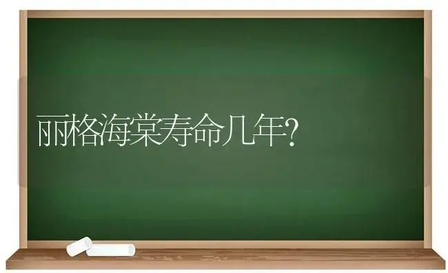 丽格海棠寿命几年？ | 绿植常识