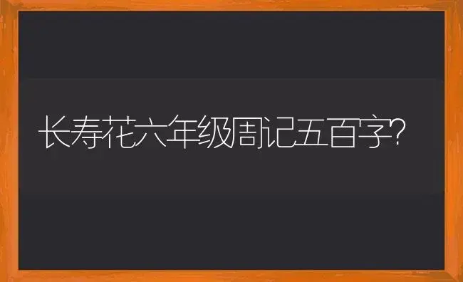 长寿花六年级周记五百字？ | 多肉养殖