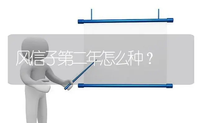 风信子第二年怎么种？ | 绿植常识