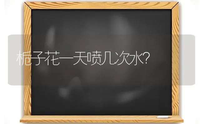 栀子花一天喷几次水？ | 绿植常识