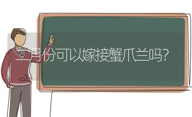 二月份可以嫁接蟹爪兰吗？ | 多肉养殖