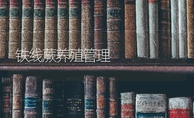 铁线蕨养殖管理 | 特种种植