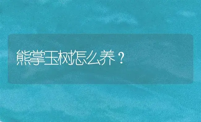 熊掌玉树怎么养？ | 多肉养殖
