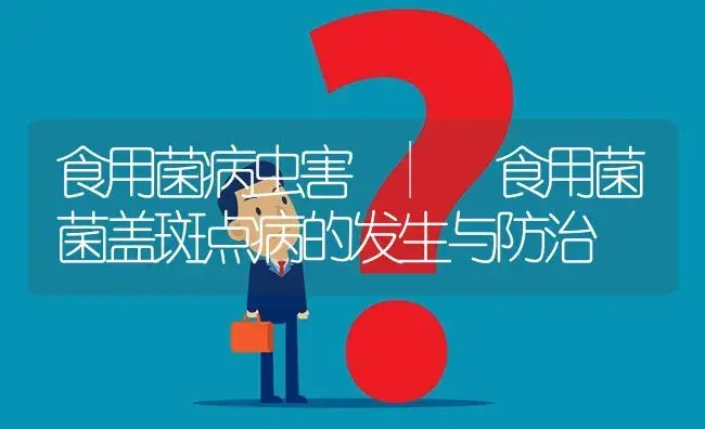 食用菌菌盖斑点病的发生与防治 | 菌菇种植