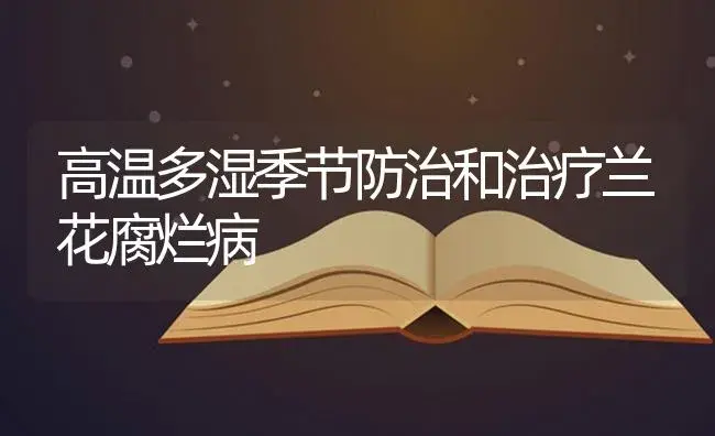 高温多湿季节防治和治疗兰花腐烂病 | 特种种植