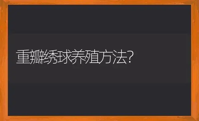 重瓣绣球养殖方法？ | 绿植常识