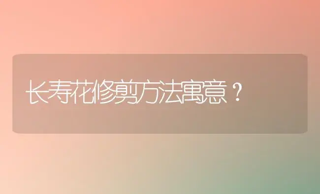 长寿花修剪方法寓意？ | 多肉养殖