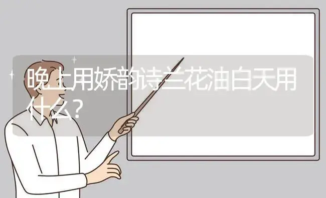 晚上用娇韵诗兰花油白天用什么？ | 绿植常识