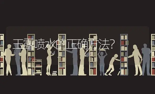 玉露喷水的正确方法？ | 多肉养殖