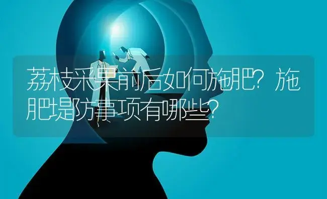 荔枝采果前后如何施肥？施肥堤防事项有哪些？ | 果木种植