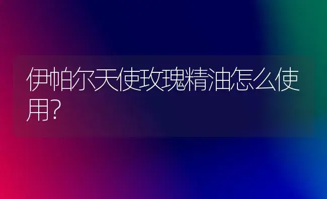 伊帕尔天使玫瑰精油怎么使用？ | 绿植常识