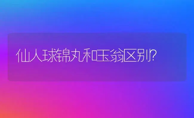 仙人球锦丸和玉翁区别？ | 多肉养殖