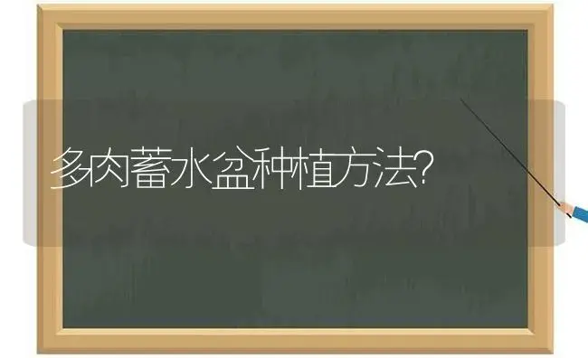 多肉蓄水盆种植方法？ | 绿植常识