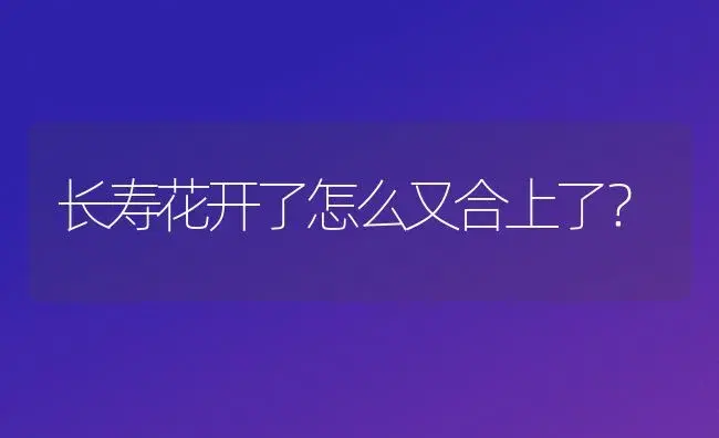 长寿花开了怎么又合上了？ | 多肉养殖