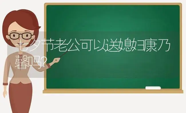 七夕节老公可以送媳妇康乃馨吗？ | 绿植常识