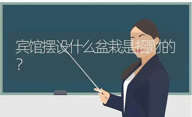 宾馆摆设什么盆栽是招财的？ | 绿植常识