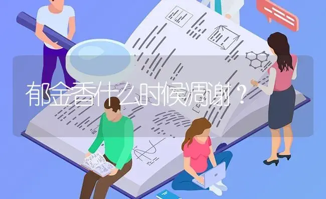 郁金香什么时候凋谢？ | 绿植常识