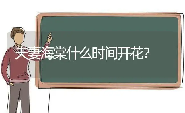 康乃馨代表什么？百合花代表什么？菊花代表什么？ | 绿植常识