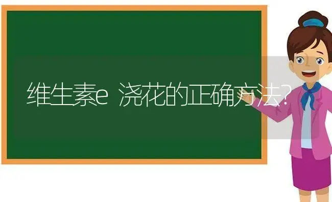 维生素e浇花的正确方法？ | 绿植常识