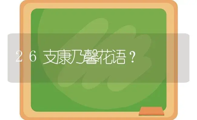 26支康乃馨花语？ | 绿植常识