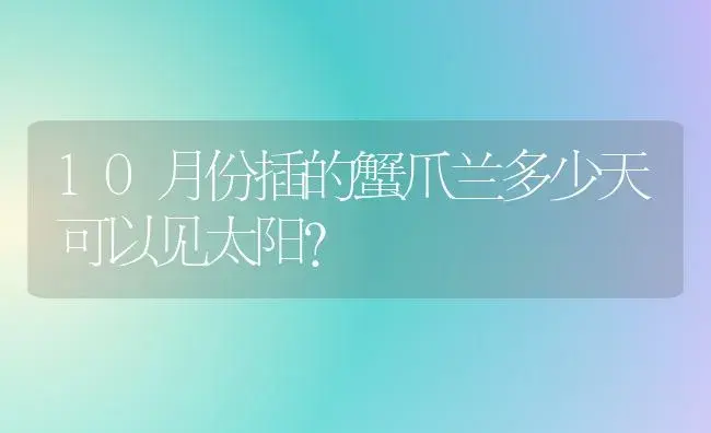 10月份插的蟹爪兰多少天可以见太阳？ | 多肉养殖