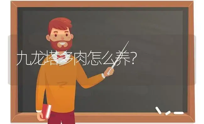 九龙塔多肉怎么养？ | 多肉养殖