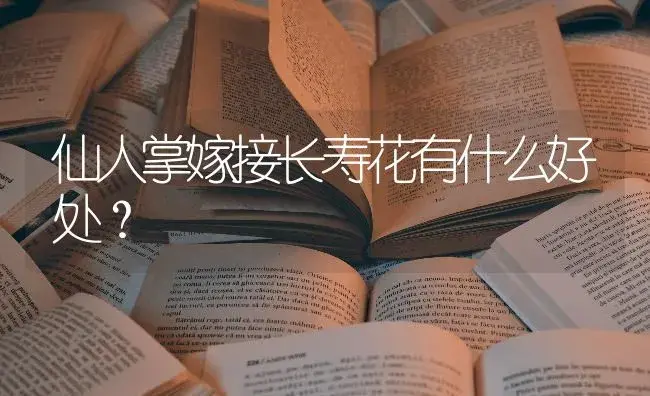 仙人掌嫁接长寿花有什么好处？ | 多肉养殖