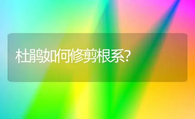 杜鹃如何修剪根系？ | 绿植常识