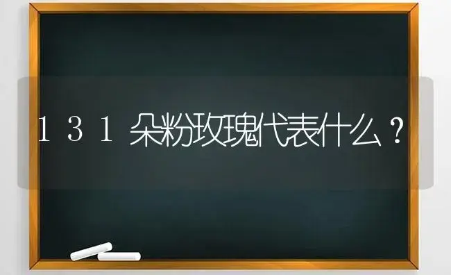 131朵粉玫瑰代表什么？ | 绿植常识