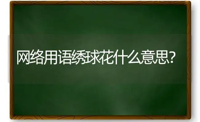 网络用语绣球花什么意思？ | 绿植常识