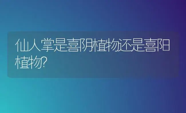 仙人掌是喜阴植物还是喜阳植物？ | 多肉养殖