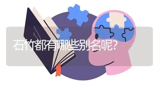 石竹都有哪些别名呢？ | 绿植常识