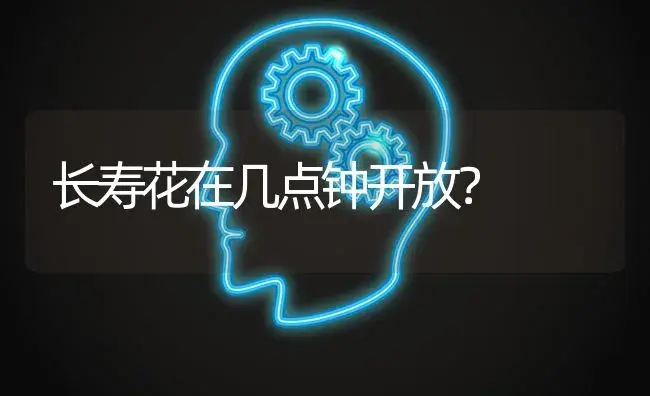 长寿花在几点钟开放？ | 多肉养殖