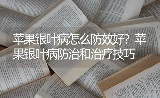 苹果银叶病怎么防效好？苹果银叶病防治和治疗技巧 | 果木种植