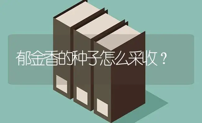 郁金香的种子怎么采收？ | 绿植常识