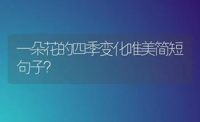 一朵花的四季变化唯美简短句子？ | 绿植常识