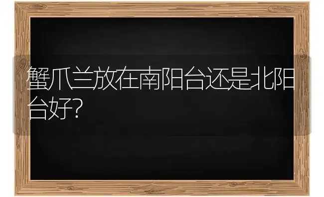 蟹爪兰放在南阳台还是北阳台好？ | 多肉养殖