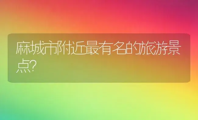 勿忘我三个字的意思？ | 绿植常识