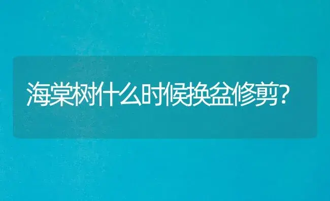 海棠树什么时候换盆修剪？ | 绿植常识